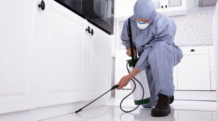 Professional 24 hour pest control services in Green Bay